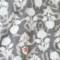 Gray(With white)